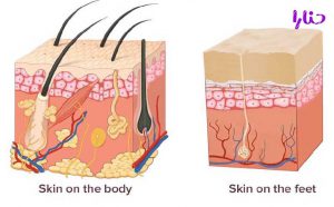 skin on the feet 300x186 - 13 علت ایجاد ترک پا و درمان های موثر